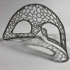 Picture of print of voronoi stytle mask This print has been uploaded by Rogar Kersoe