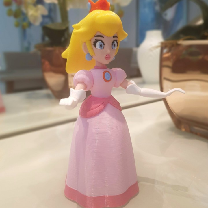 Princess Peach from Mario Games - multi-color
