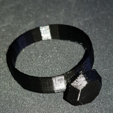 Picture of print of starter ring €0,50