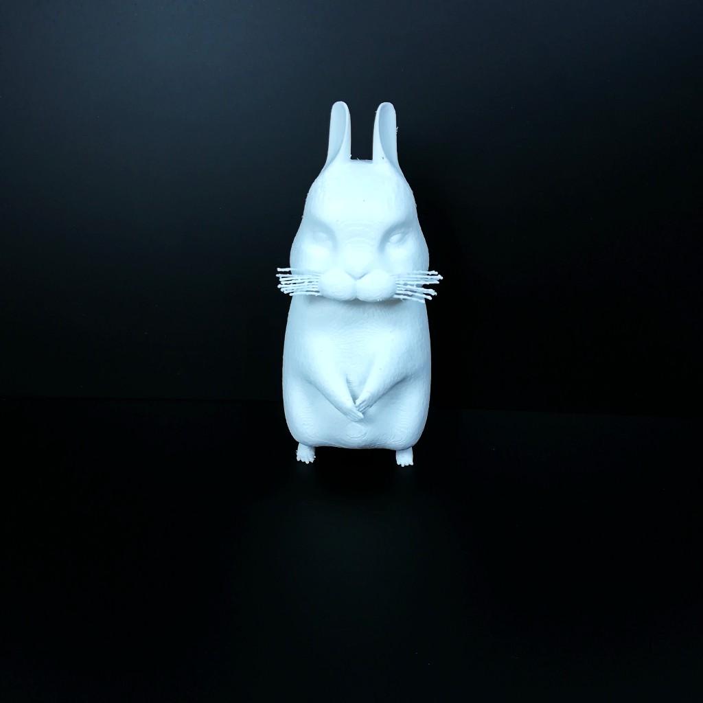 3D Printable Bunny by Kleber Sampaio Correia