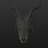 Dragon head image