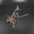 Witch on a Broomstick image