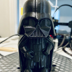 Picture of print of Mini Vader
