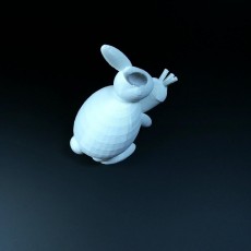 Picture of print of rabbit