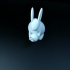 rabbit print image
