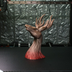 Picture of print of Stagroot This print has been uploaded by iczfirz
