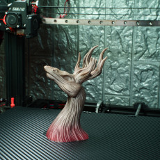 Picture of print of Stagroot This print has been uploaded by iczfirz