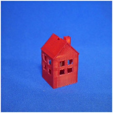 Picture of print of Little house for lightstring