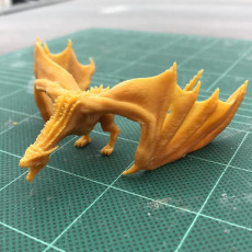Picture of print of Drogon This print has been uploaded by Raymund Sucgang