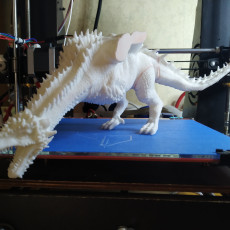 Picture of print of Drogon This print has been uploaded by Andre Eberhard