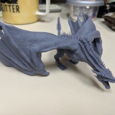 Picture of print of Drogon This print has been uploaded by Mike Ptacnik