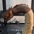Sea Serpent - Leviathan print image
