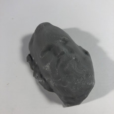 Picture of print of Untitled 3D Scan 2018-10-05 This print has been uploaded by Rogar Kersoe