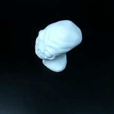Picture of print of Aaron the Alien This print has been uploaded by Li Wei Bing