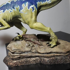 Picture of print of Velociraptor This print has been uploaded by Malcolm Fortier