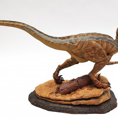 Picture of print of Velociraptor This print has been uploaded by Jan Matras