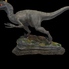 Picture of print of Velociraptor