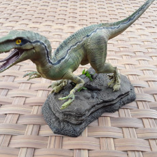 Picture of print of Velociraptor This print has been uploaded by Rick