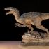 Velociraptor image