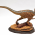 Velociraptor print image