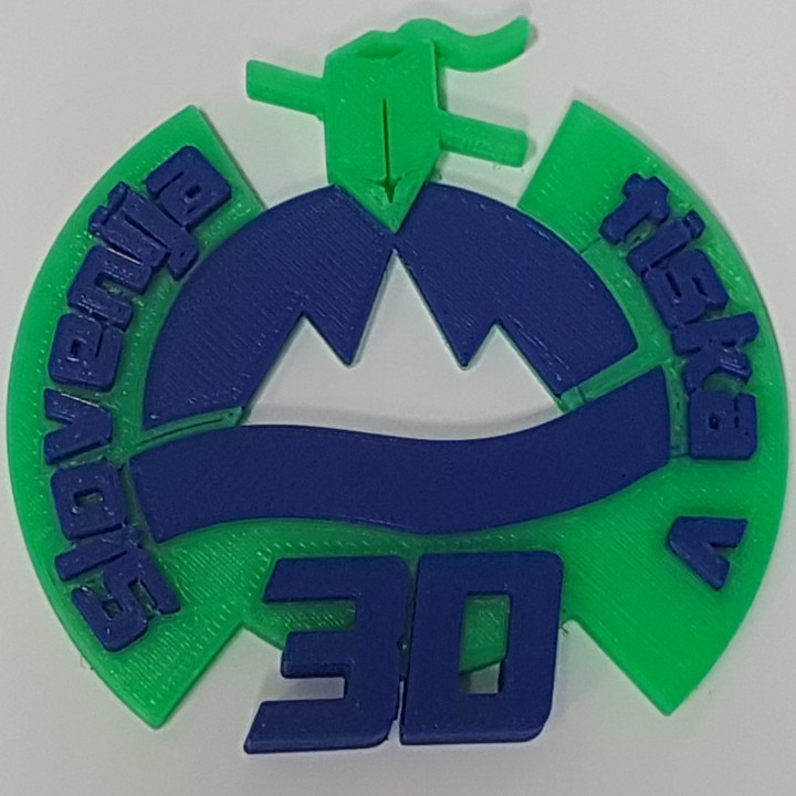 Slovenia 3D printing Group Logo