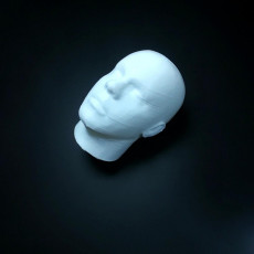 Picture of print of Human Head More detailed This print has been uploaded by Li Wei Bing