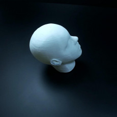 Picture of print of Human Head More detailed This print has been uploaded by Li Wei Bing