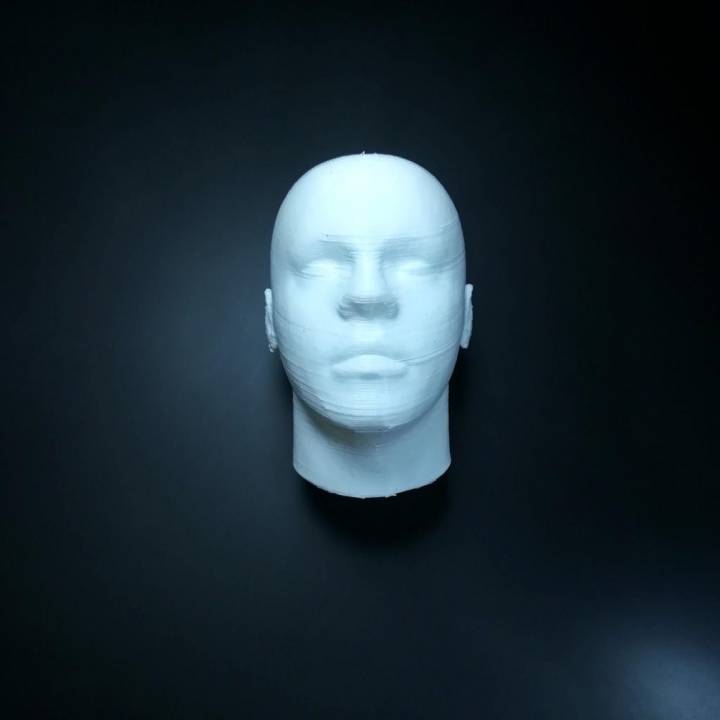 Human Head More detailed