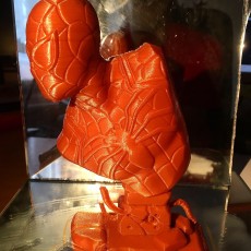 Picture of print of Spider-Man bust