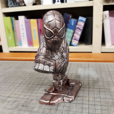 Picture of print of Spider-Man bust