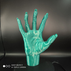 Picture of print of Zombie hand (Pre-Supported)