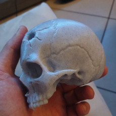 Picture of print of Vampire Skull This print has been uploaded by riccardo zaccarelli
