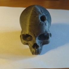 Picture of print of Vampire Skull This print has been uploaded by Konstantin Rumyantsev