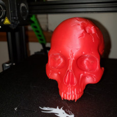 Picture of print of Vampire Skull This print has been uploaded by Scott Brown