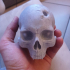 Vampire Skull print image