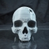 Vampire Skull image