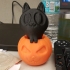 Halloween Boo Cat & Pumpkin print image