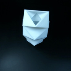 Picture of print of Triangular Vase