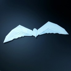 Picture of print of robin batarang arkham style