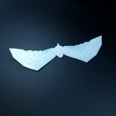 Picture of print of robin batarang arkham style