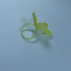 Picture of print of butterfly ring