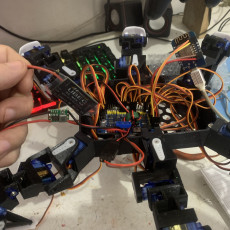 Picture of print of Wifi Hexapod Spider Robot