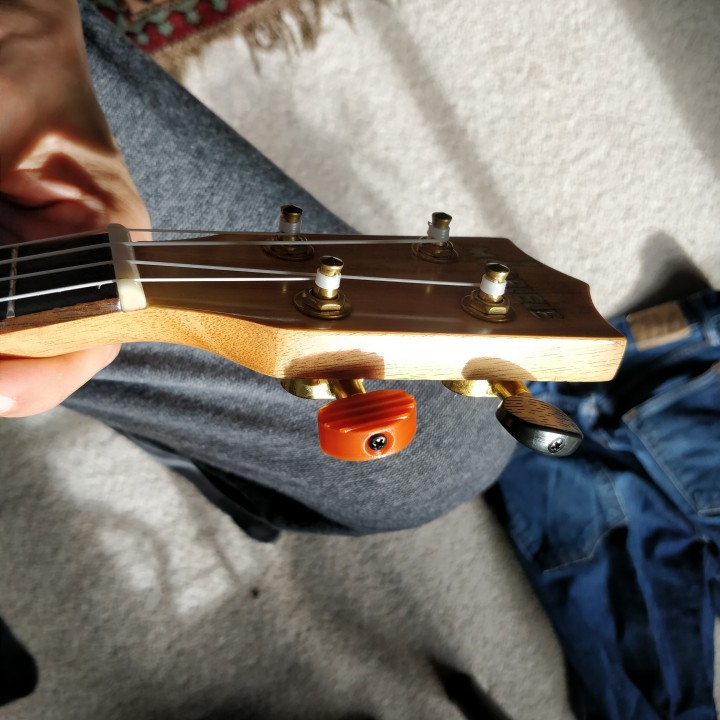 Ukulele/Guitar Tuning Peg