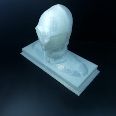 Picture of print of C-3P0 Bust