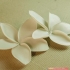 flowers: Plumeria - 3D printable model image