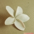 flowers: Plumeria - 3D printable model image