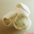 flowers: Tulip - 3D printable model image