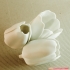 flowers: Tulip - 3D printable model image