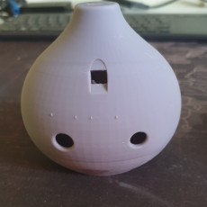 Picture of print of OCARINA This print has been uploaded by Alvaro Diaz