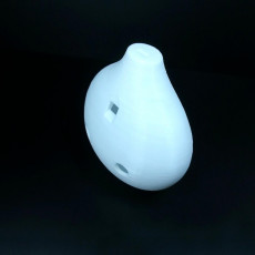 Picture of print of OCARINA This print has been uploaded by Li Wei Bing